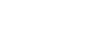 Google site seguro